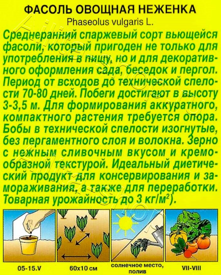 Фасоль овощная Неженка 5г