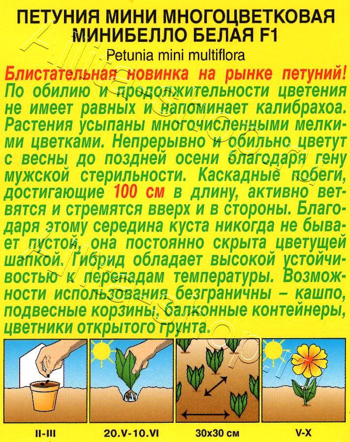 Петуния мини Минибелло F1 белая многоцветковая 5шт