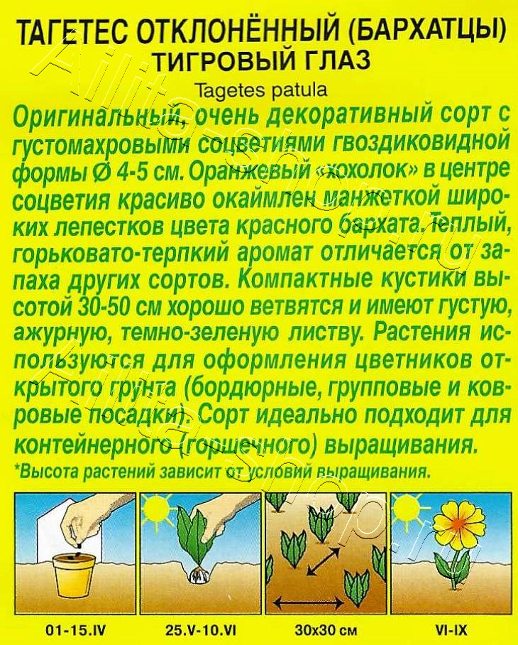 Бархатцы Тигровый глаз отклоненные 0,3г