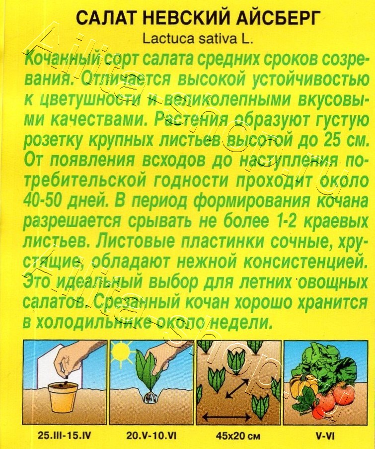 Салат Невский айсберг 0,1г