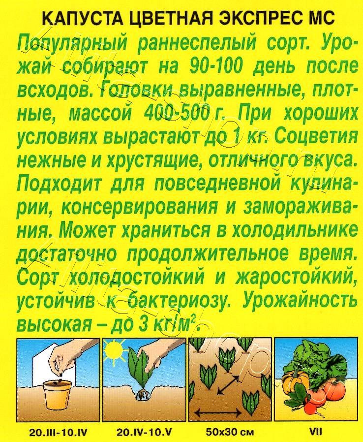 Капуста цветная Экспрес МС 0,3г