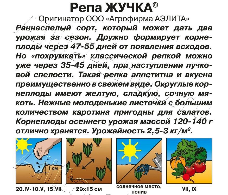 Репа Жучка 1г