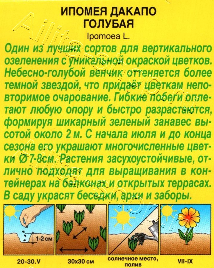 Ипомея Дакапо голубая 9шт