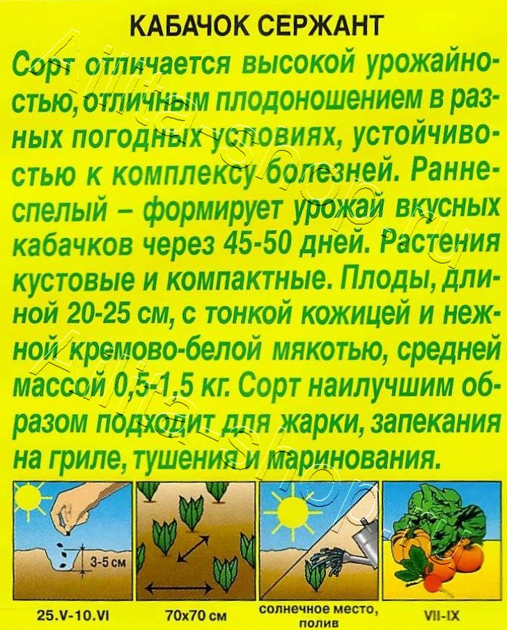 Кабачок цуккини Сержант 1г