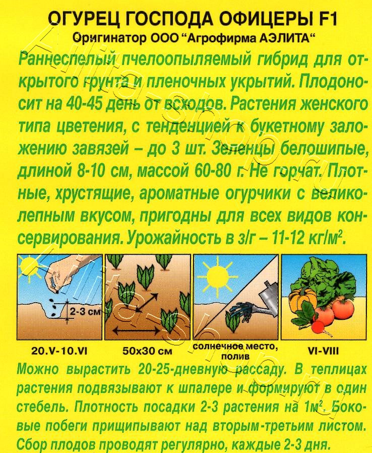 Огурец Господа офицеры F1 10шт