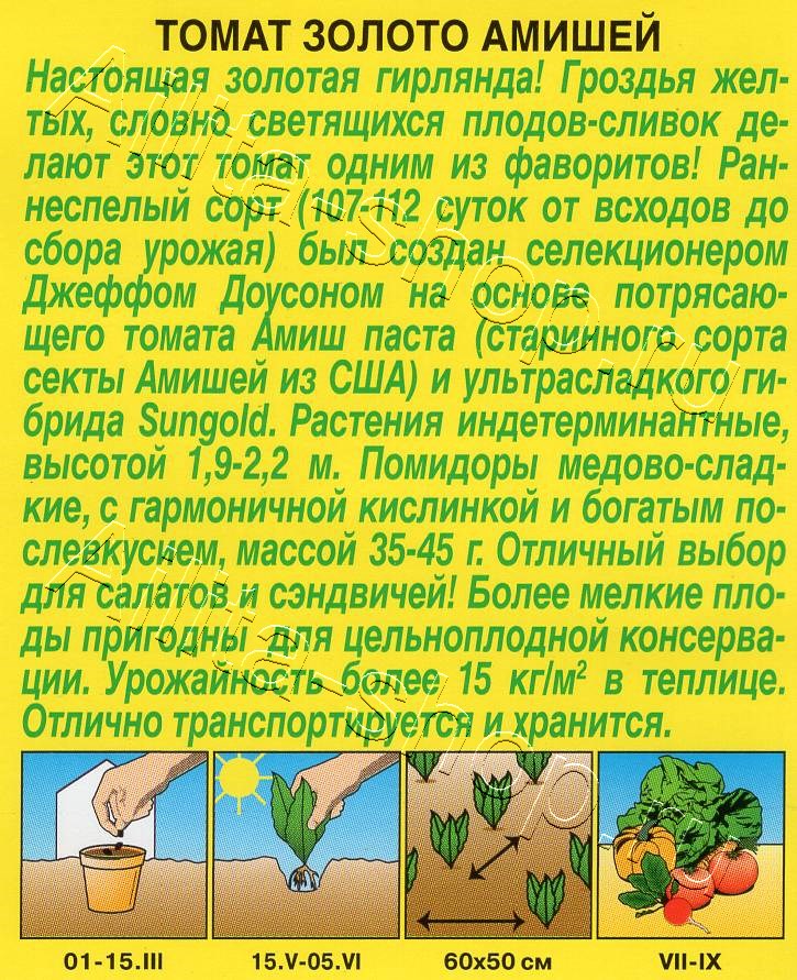 Томат Золото Амишей (Amish Gold) 20шт