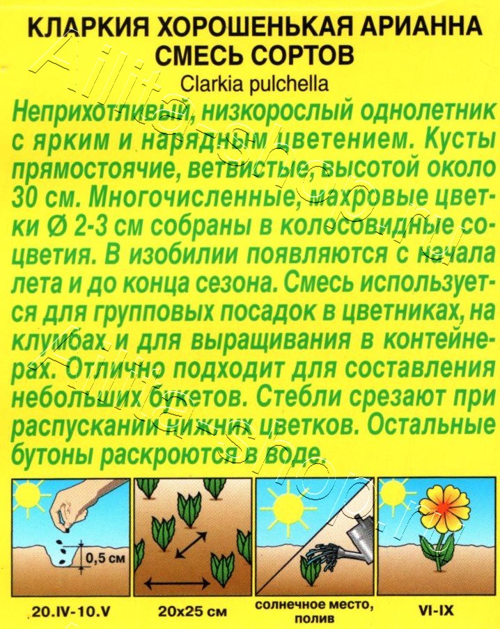 Кларкия Арианна, смесь окрасок 0,1г