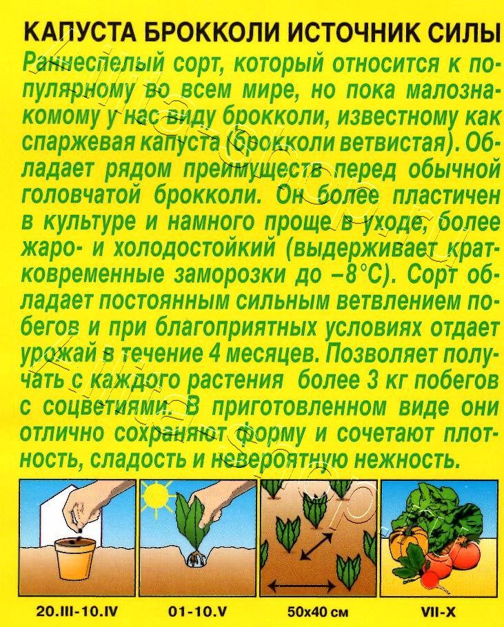 Капуста брокколи Источник силы 0,3г