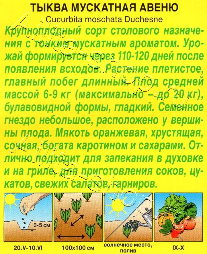 Тыква мускатная Авеню 1г