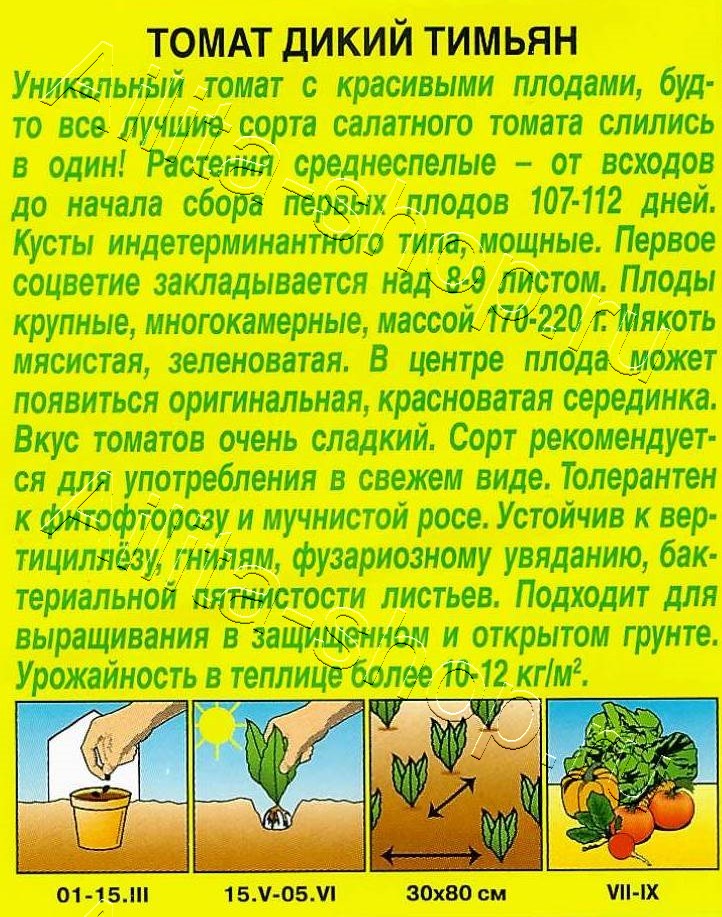 Томат Дикий тимьян 20шт