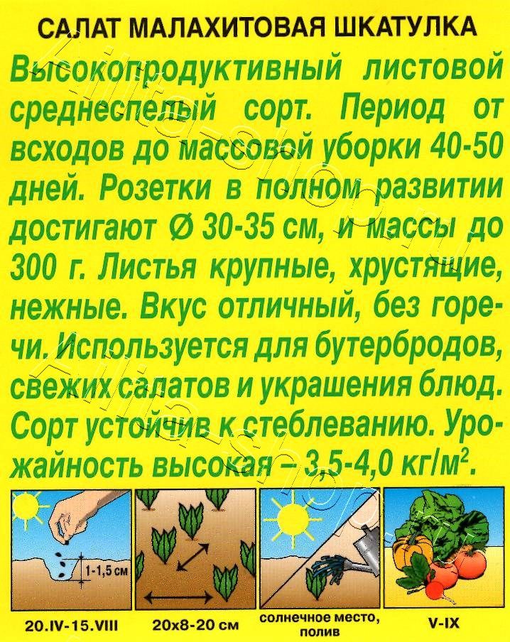 Салат Малахитовая шкатулка листовой 0,5г