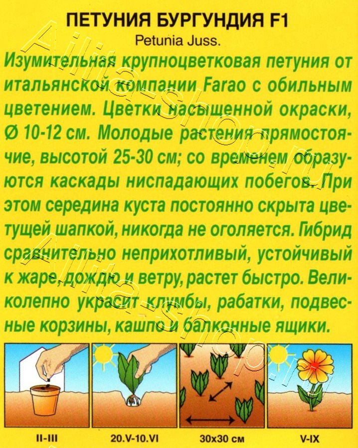 Петуния Бургундия F1 крупноцветковая каскадная 5шт