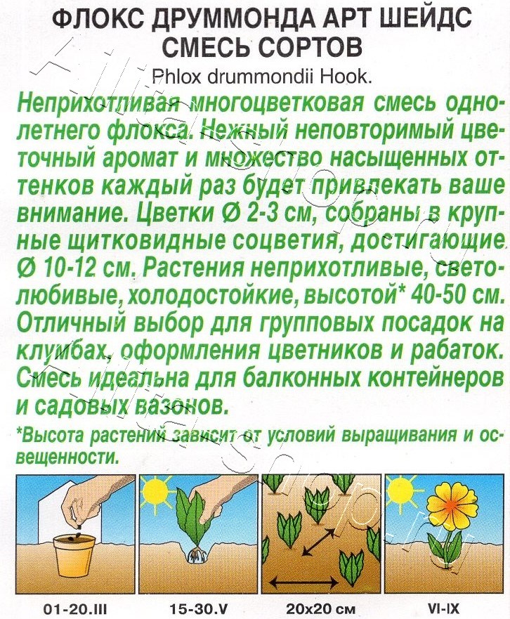 Флокс друммонда Арт Шейдс, смесь сортов 0,1г