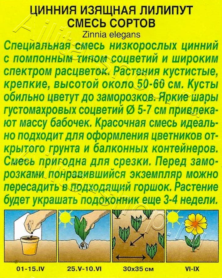 Цинния Лилипут, смесь окрасок 0,3г