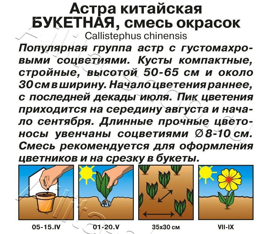 Астра Букетная, смесь окрасок 0,2г