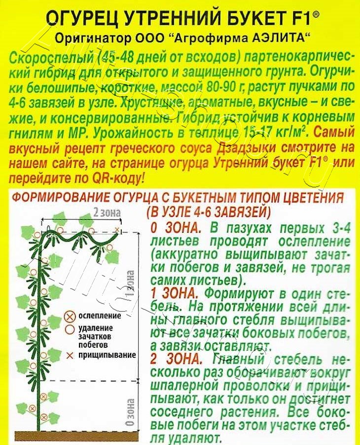 Огурец Утренний букет F1 10шт
