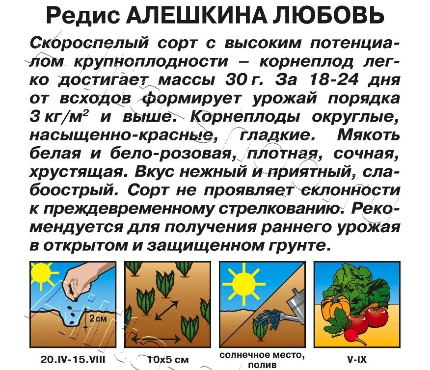 Редис Алешкина любовь 2г