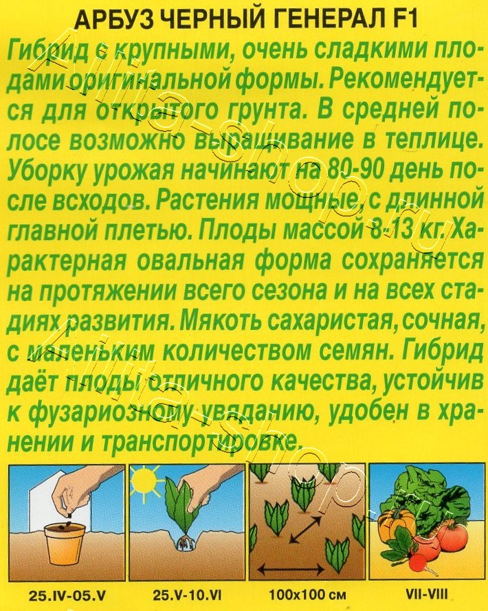 Арбуз Черный генерал F1 5шт