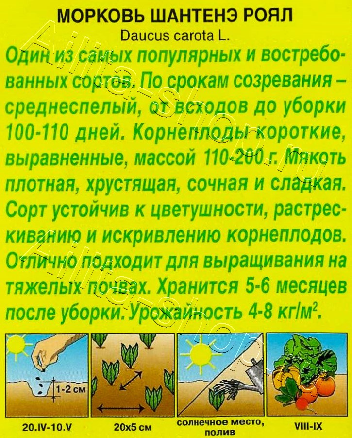 Морковь Шантенэ Роял 2г