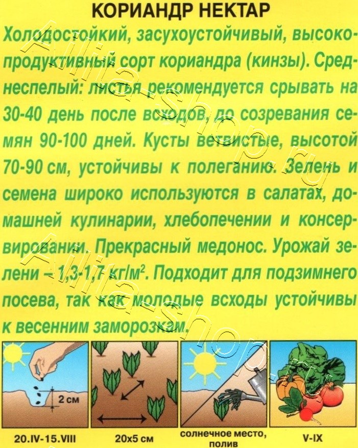 Кориандр Нектар 3г