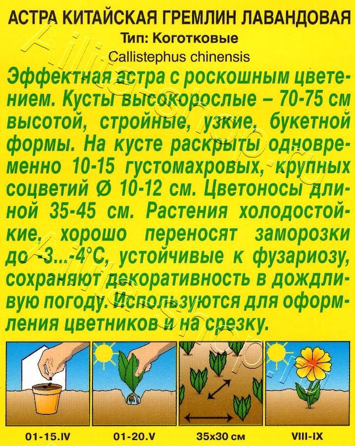 Астра Гремлин лавандовая 0,2г