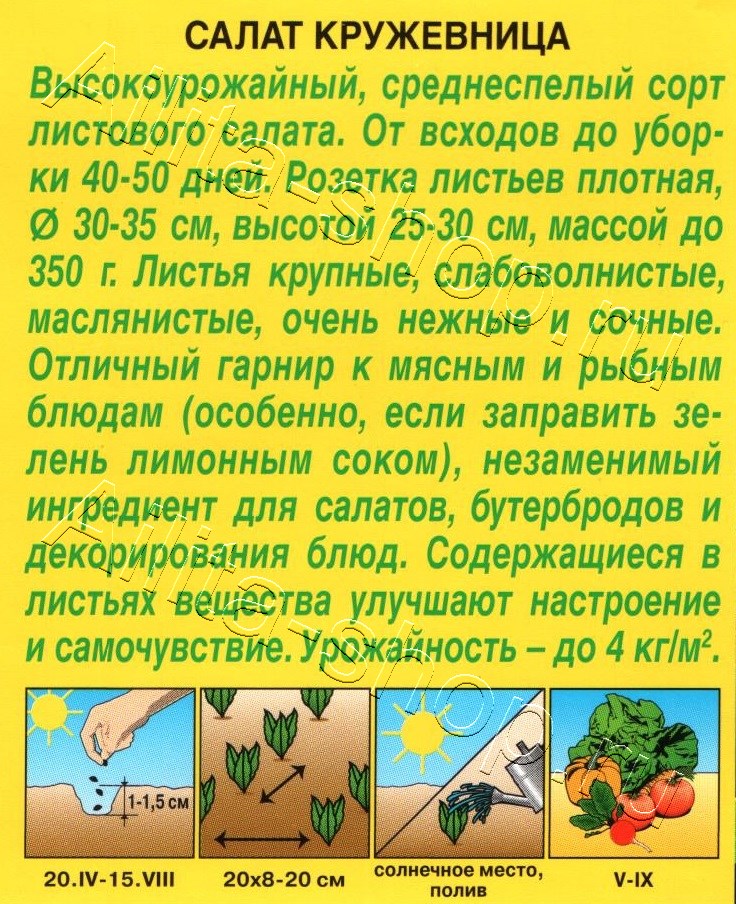 Салат Кружевница листовой 0,5г