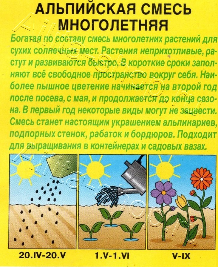 Альпийская смесь Многолетняя 0,2г