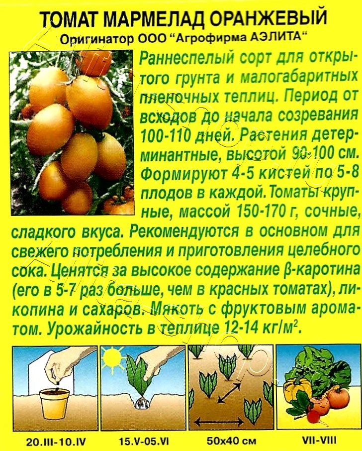 Томат Мармелад оранжевый 20шт