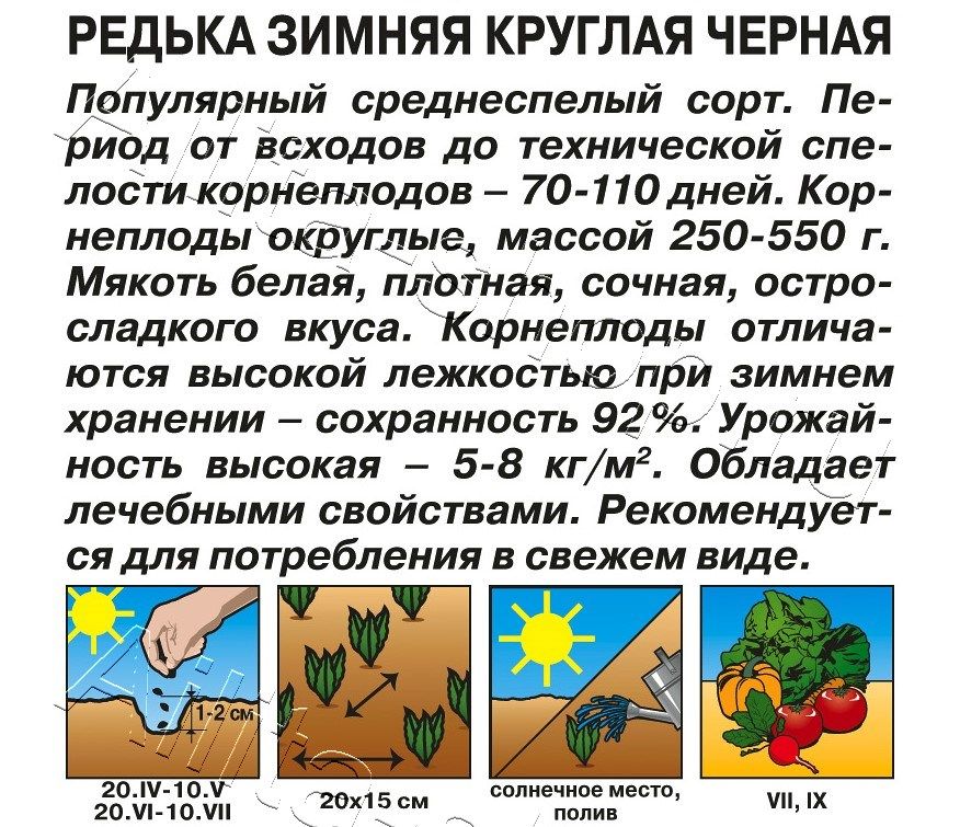 Редька Зимняя круглая черная 1г