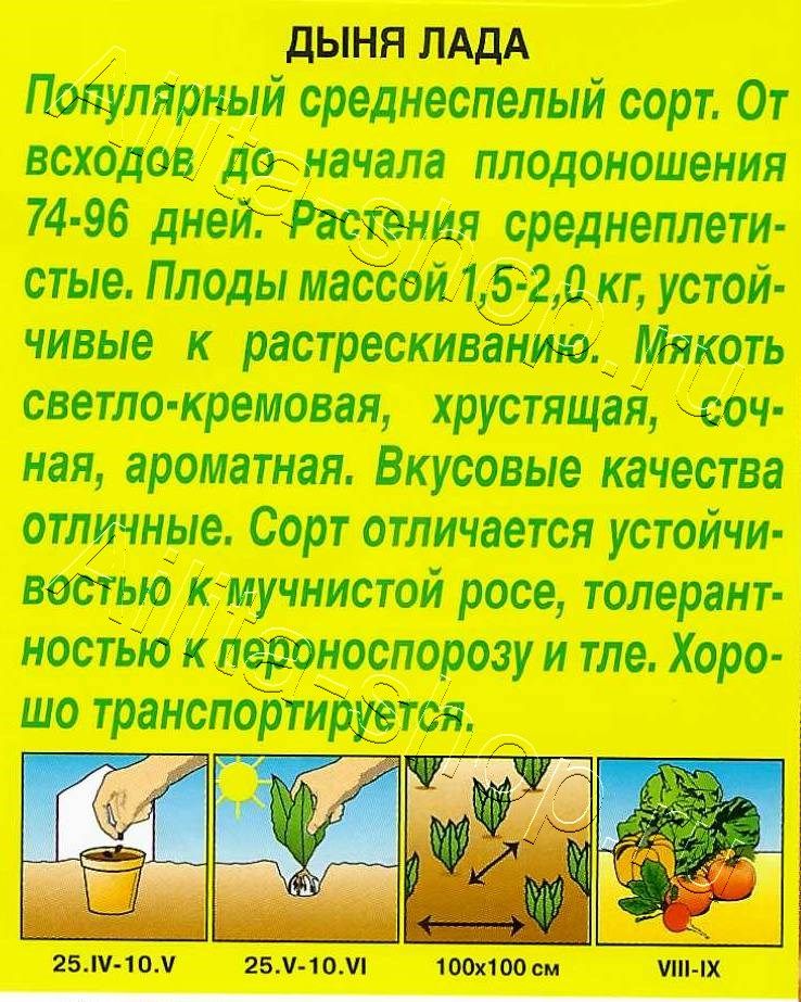 Дыня Лада 1г