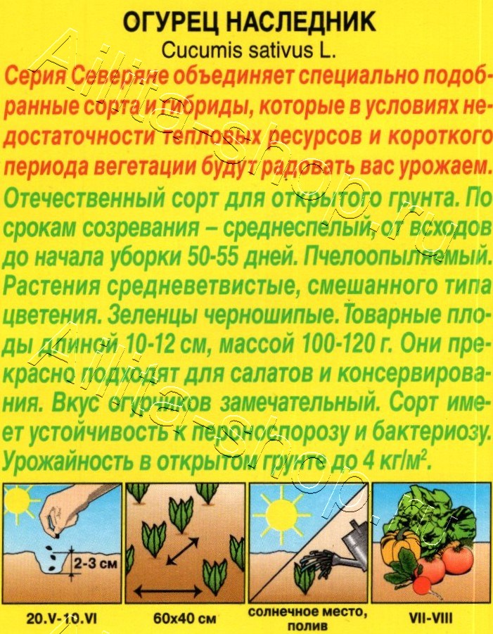 Огурец Наследник 10шт