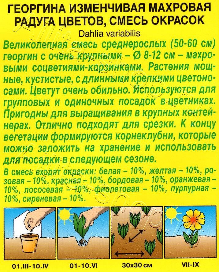 Георгина махровая Радуга цветов,смесь окрасок 0,3г