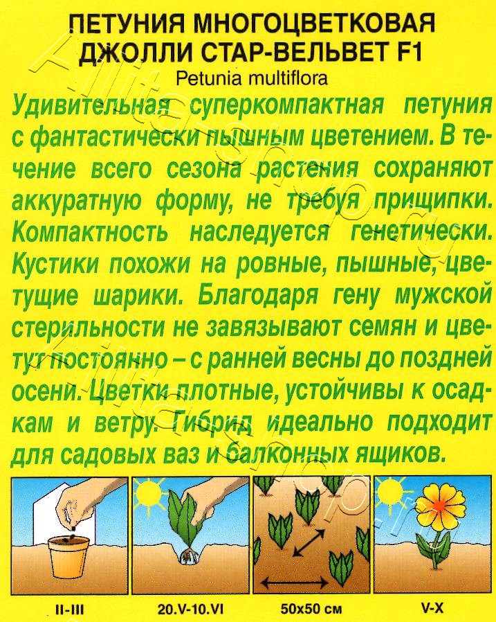 Петуния Джолли стар вельвет F1 многоцветковая 5шт