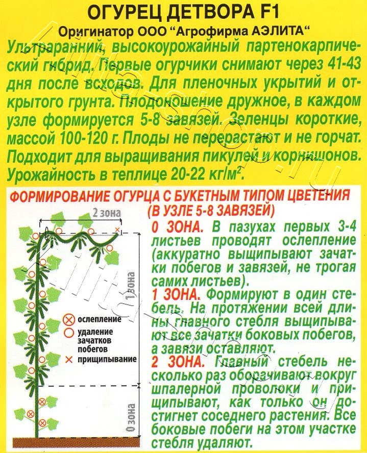 Огурец Детвора F1 10шт