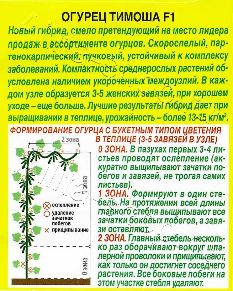 Огурец Тимоша F1 10шт