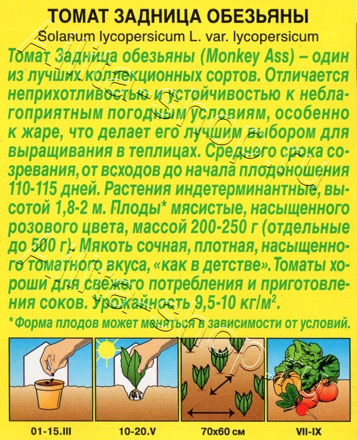 Томат Задница обезьяны 10шт