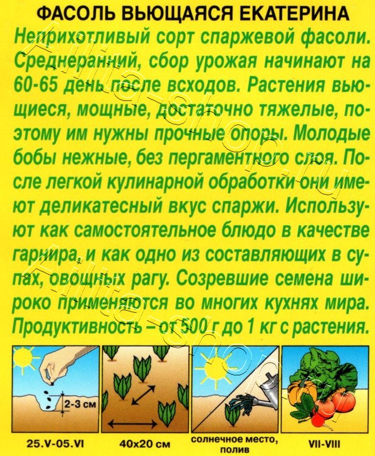 Фасоль вьющаяся Екатерина 5г