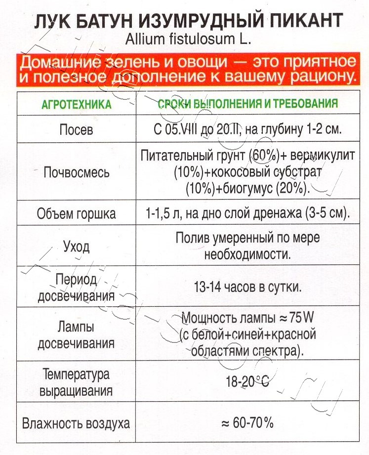 Лук батун Изумрудный пикант 0,2г