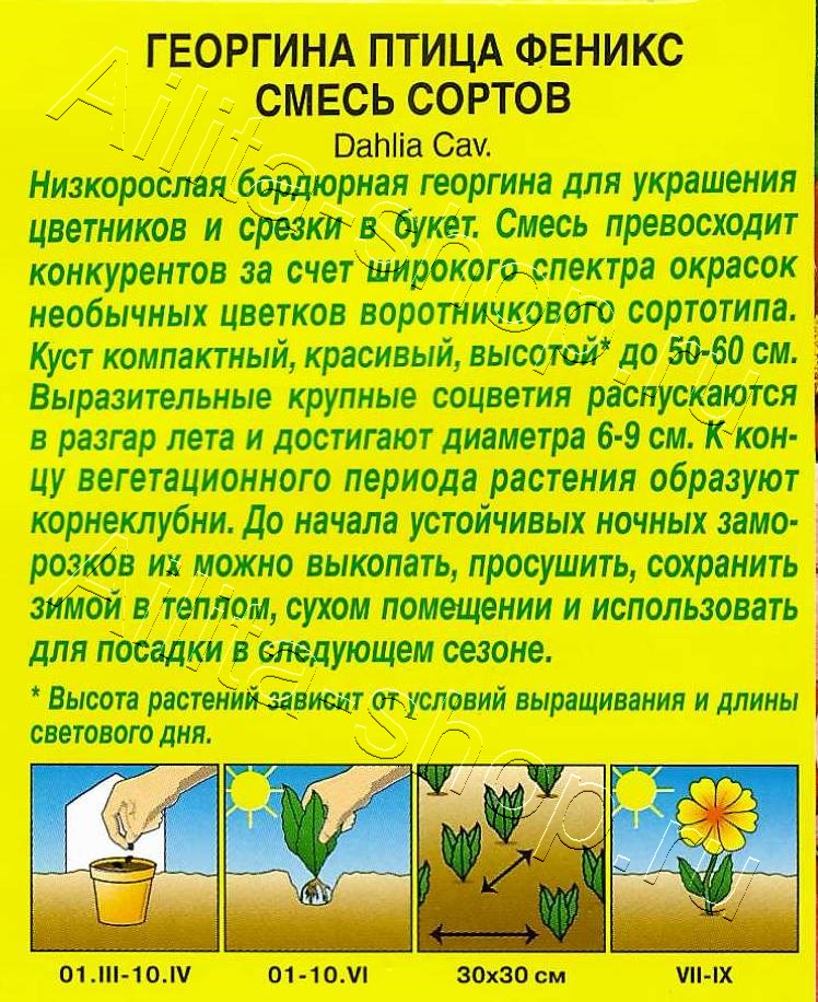 Георгина Птица Феникс, смесь сортов 0,3г