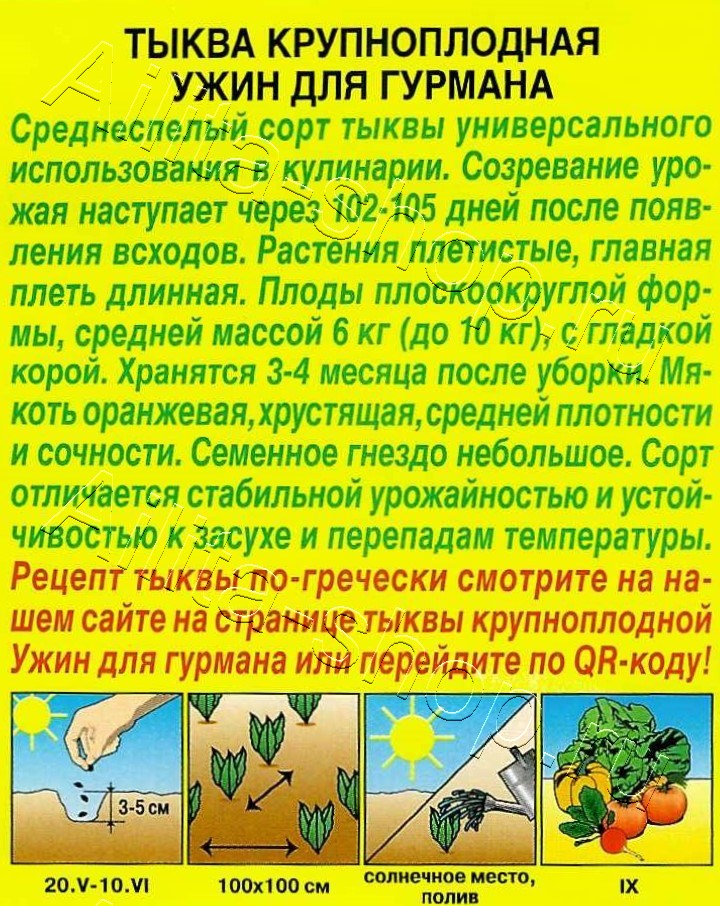 Тыква крупноплодная Ужин для гурмана 2г