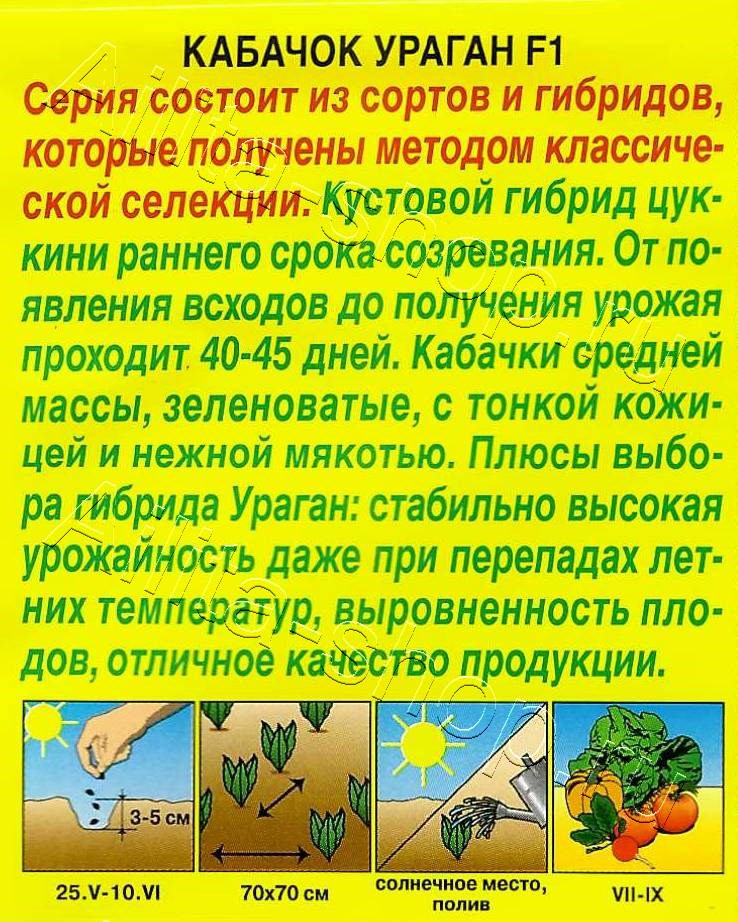 Кабачок Ураган F1 5шт