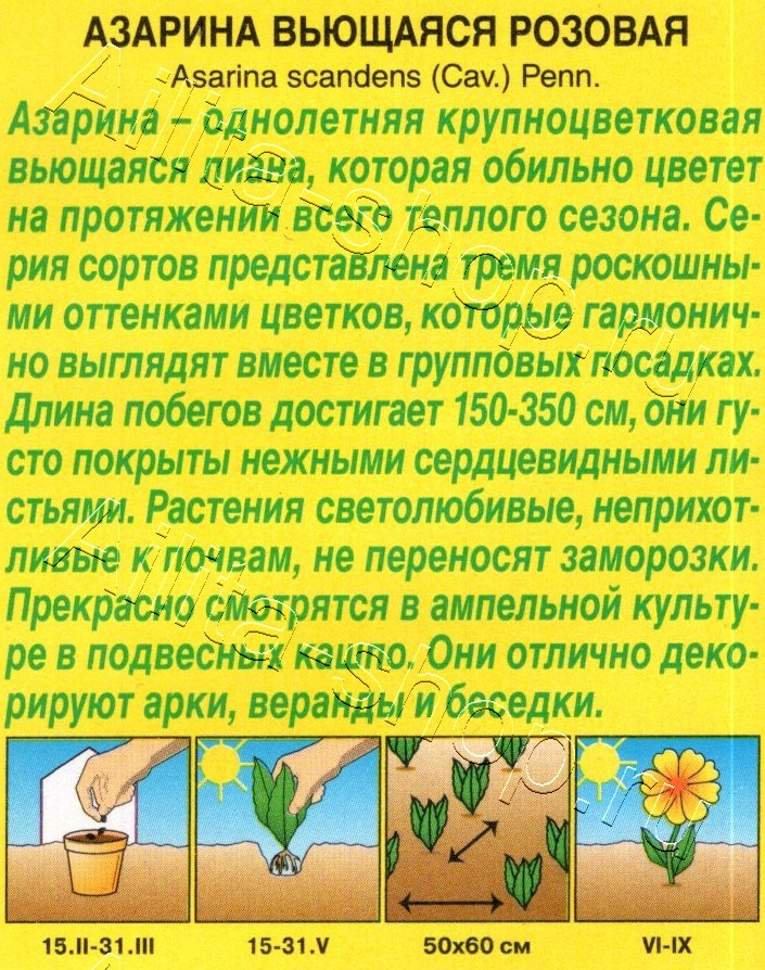 Азарина вьющаяся Розовая 5шт