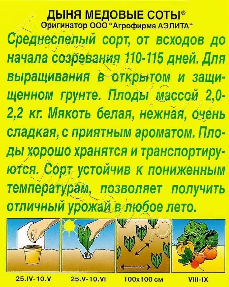 Дыня Медовые соты 1г