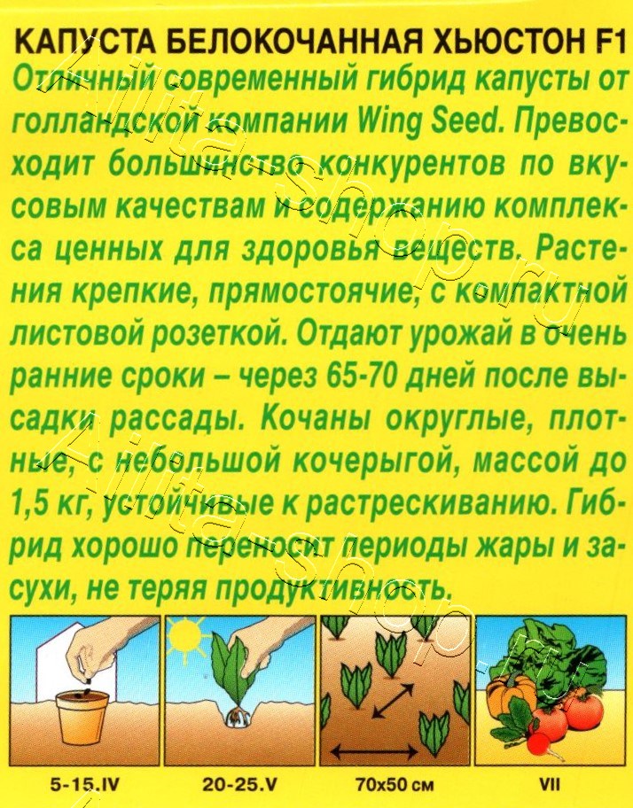 Капуста белокочанная Хьюстон F1 0,1г