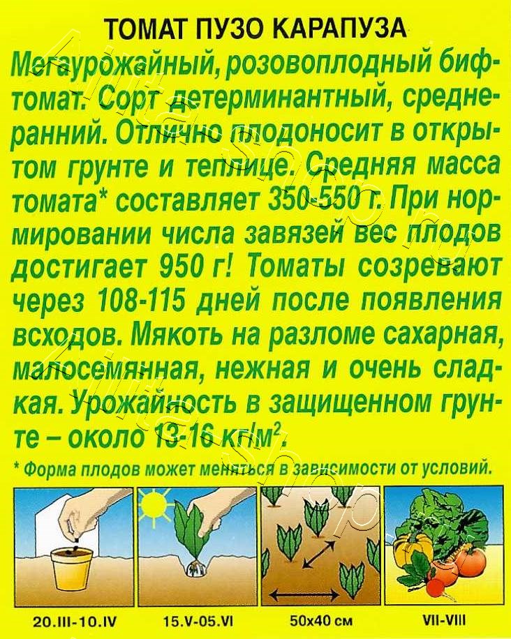 Томат Пузо карапуза 20шт