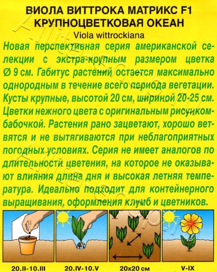 Виола Матрикс F1 океан крупноцветковая 5шт
