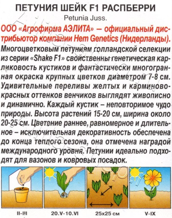 Петуния Шейк F1 распберри 5шт