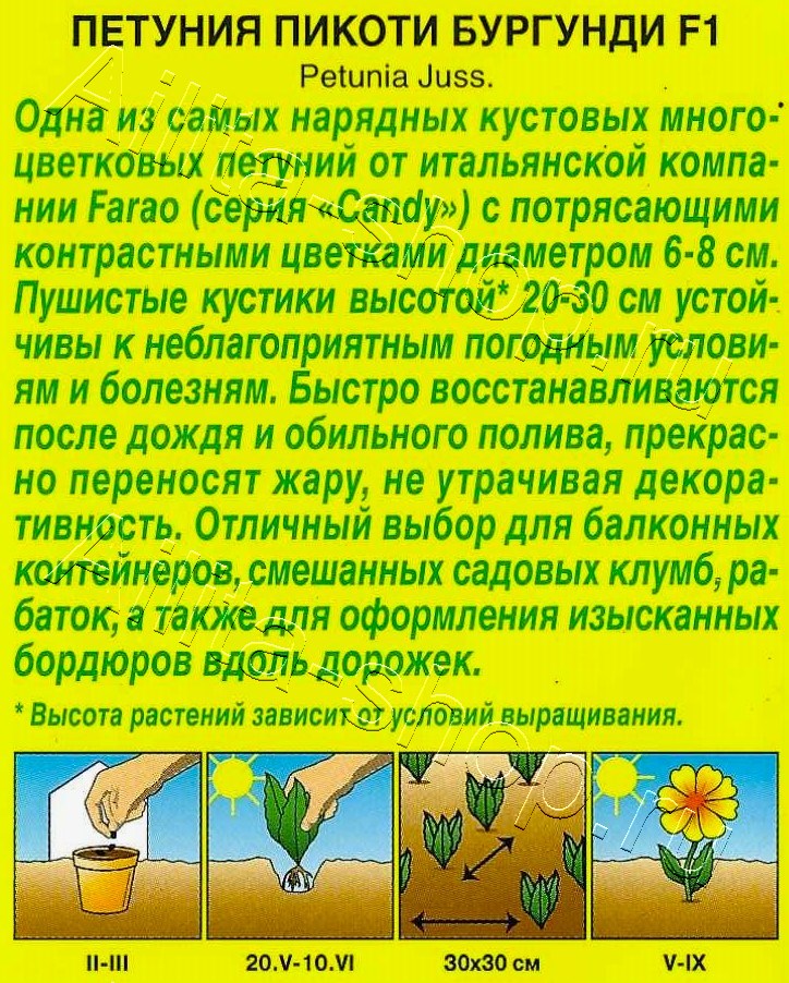 Петуния Пикоти бургунди F1 многоцветковая 7шт