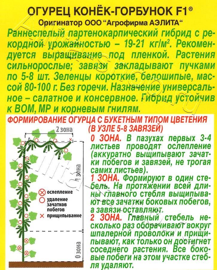 Огурец Конек-горбунок F1 7шт