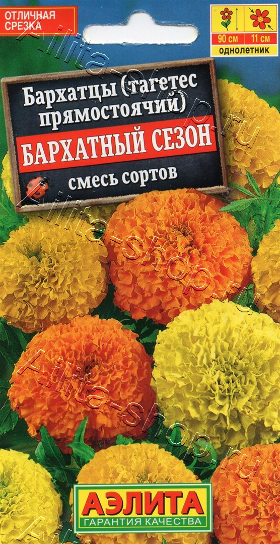 Бархатцы Бархатный сезон прямостоячие, смесь сортов 0,1г